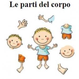Le parti del corpo