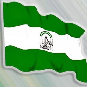DÍA DE ANDALUCÍA (JUEGOS INDIVIDUALES)