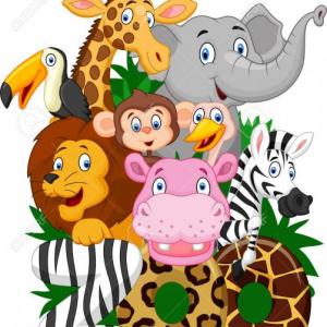 animales