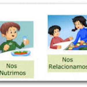 juego de la oca ( funciones vitales)
