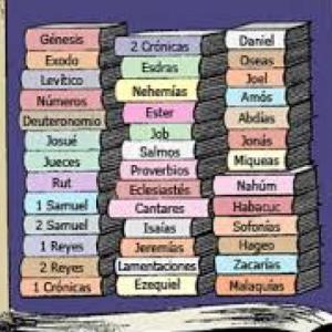 LIBROS SAPIENCIALES Y POETICOS