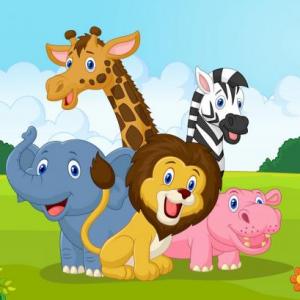 Animales Mamíferos 