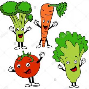 ALIMENTOS SEGÙN SU ORIGEN
