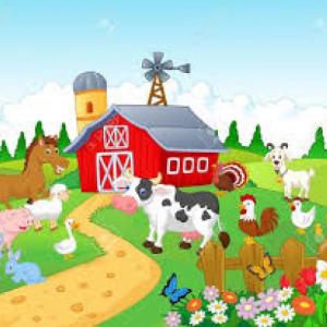Encuentra a los animales