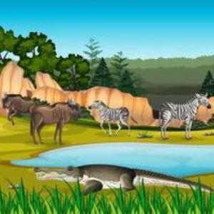 MY WILD ANIMALS IN MY MEMORY