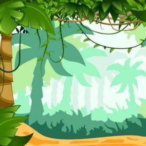 BUSCAMOS ANIMALES EN LA JUNGLA