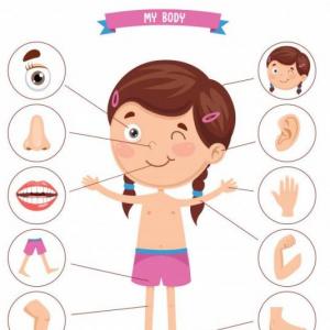 Partes do corpo