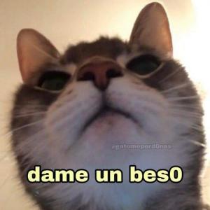 Recuerda nuestros apodos