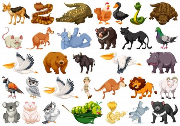 los animales mas salvajes