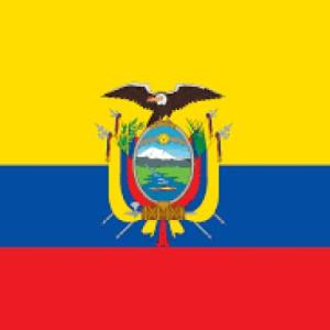 COLORES DE LA BANDERA