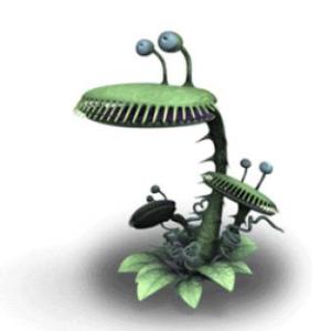 partes de la planta