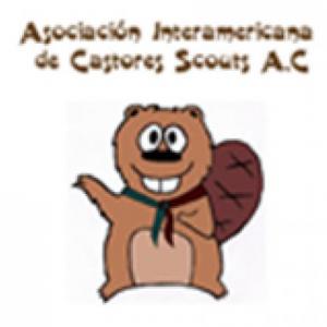 Aprender personajes de la Historia del Gran Castor Café