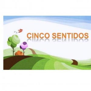 Los cinco sentidos