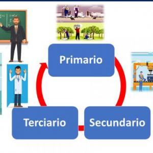 Actividades Económicas