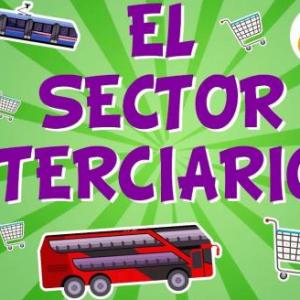 Sector Terciario