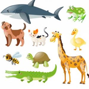 ANIMALES DOMÈSTICOS Y SALVAJES 