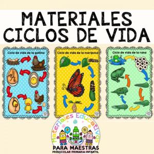 ciclos de vida