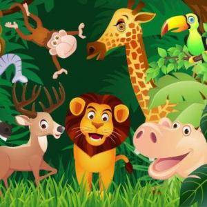 Animales de la selva