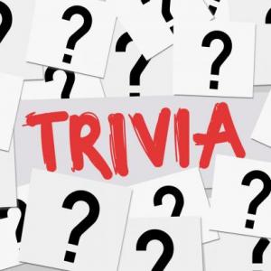 Noun Trivia Game