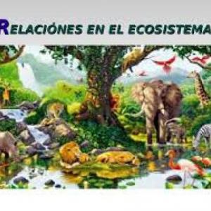 trivias de ecosistemas