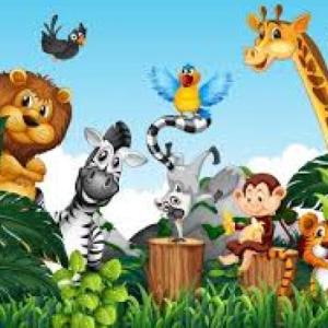 CONOCE LOS ANIMALES DE LA SELVA 