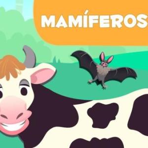 RECONOCEMOS A LOS ANIMALES MAMÍFEROS 