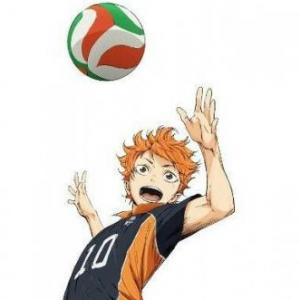 Voleiball's game