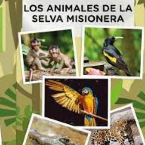 ANIMALES DE LA SELVA MISISONERA
