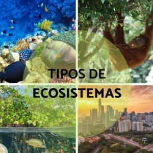 TIPOS DE ECOSISTEMAS