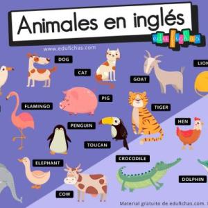 ANIMALES EN INGLES