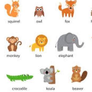 Animales