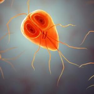ANTIPARASITARIOS