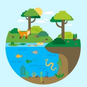 Imagen de portada del videojuego educativo: juego de la cadena trofica, de la temática Biología