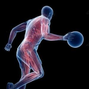 body memoria