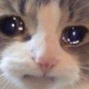 NAVAF