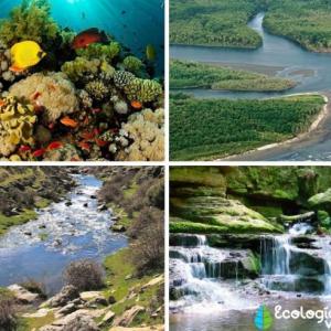CLASES DE ECOSISTEMAS