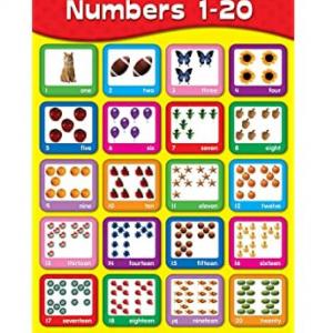 Numbers 