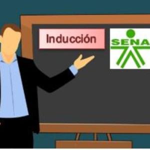 Aprendizajes de la Inducción como Aprendiz