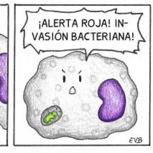 El Sistema Inmune,juega y aprende