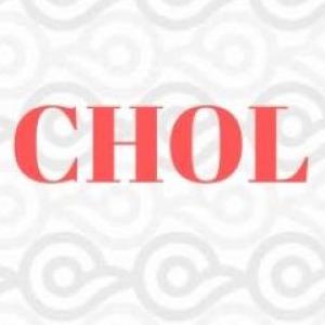 palabras en chol 