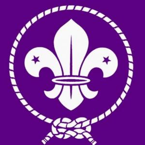 Trivia Scout