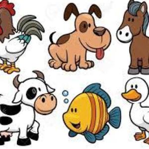 Animales