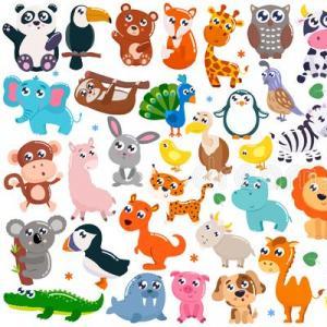 Clases de animales