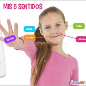 MIS CINCO SENTIDOS