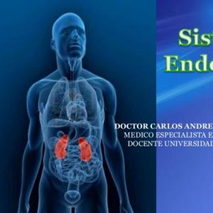 el sistema endocrino