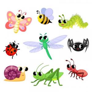¡INSECTOS!