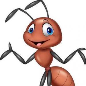HORMIGAS