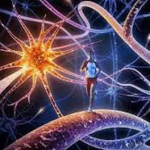Imagen de portada del videojuego educativo: El desconocido sistema nervioso, de la temática Biología