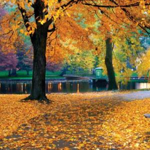 THE COLOURS OF AUTUMN
