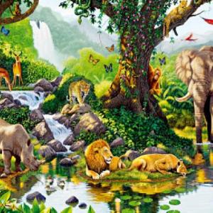 Animales